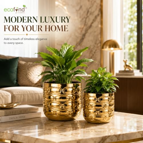 Image of ecofynd 2 Pack Metal Plant Pots (5 inch, 6 inch), Indoor Small Planter Flower Pots, Home Garden Decor Planter for Living Room Bedroom Interior (Gold Finish, POT056)
