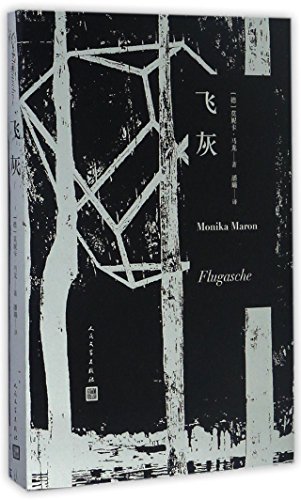 Image of Flugasche (Chinese Edition)