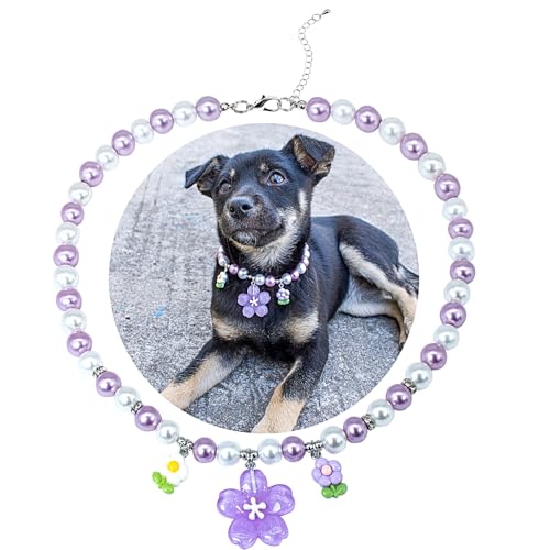 SM4BED ̎փp[lbNXAzCgƃp[ṽr[YƂ킢t[y_gA^p̒߉\ȃybgWG[AXL 17C`