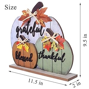 CYNOSA Fall Decorations for Home Blessed Grateful Thankful Fall Decor Wooden Pumpkin Tabletop Signs for Home Thanksgiving Farmhouse Living Room Harvest CYNOSA Fall Decorations for Home Blessed Grateful Thankful Fall Decor Wooden Pumpkin Tabletop Signs for Home Thanksgiving Farmhouse Living Room Harvest