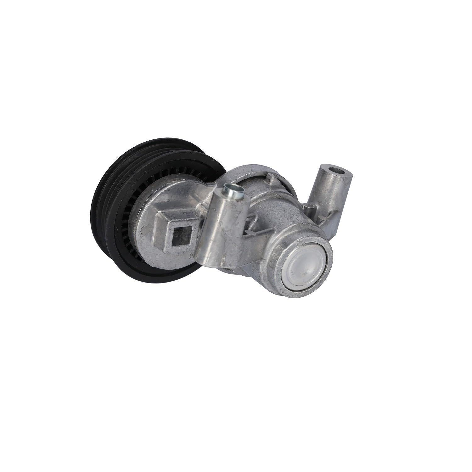 FEBI BILSTEIN Napinacz paska klinowy pasek wielorowkowy 181720 21 mm 0,553 kg automatyczny | 181720 pasuje do Focus Mondeo S-Max