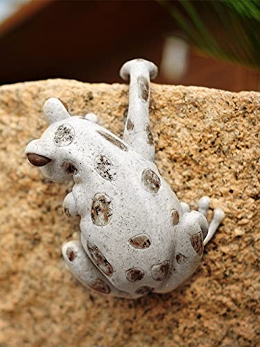 Simulation animale grenouille décorative pour cour et muret extérieur - 7