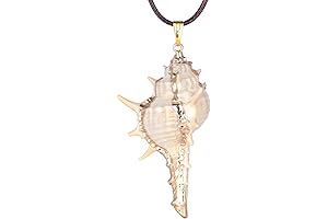 The Enchanted Seashell Necklace