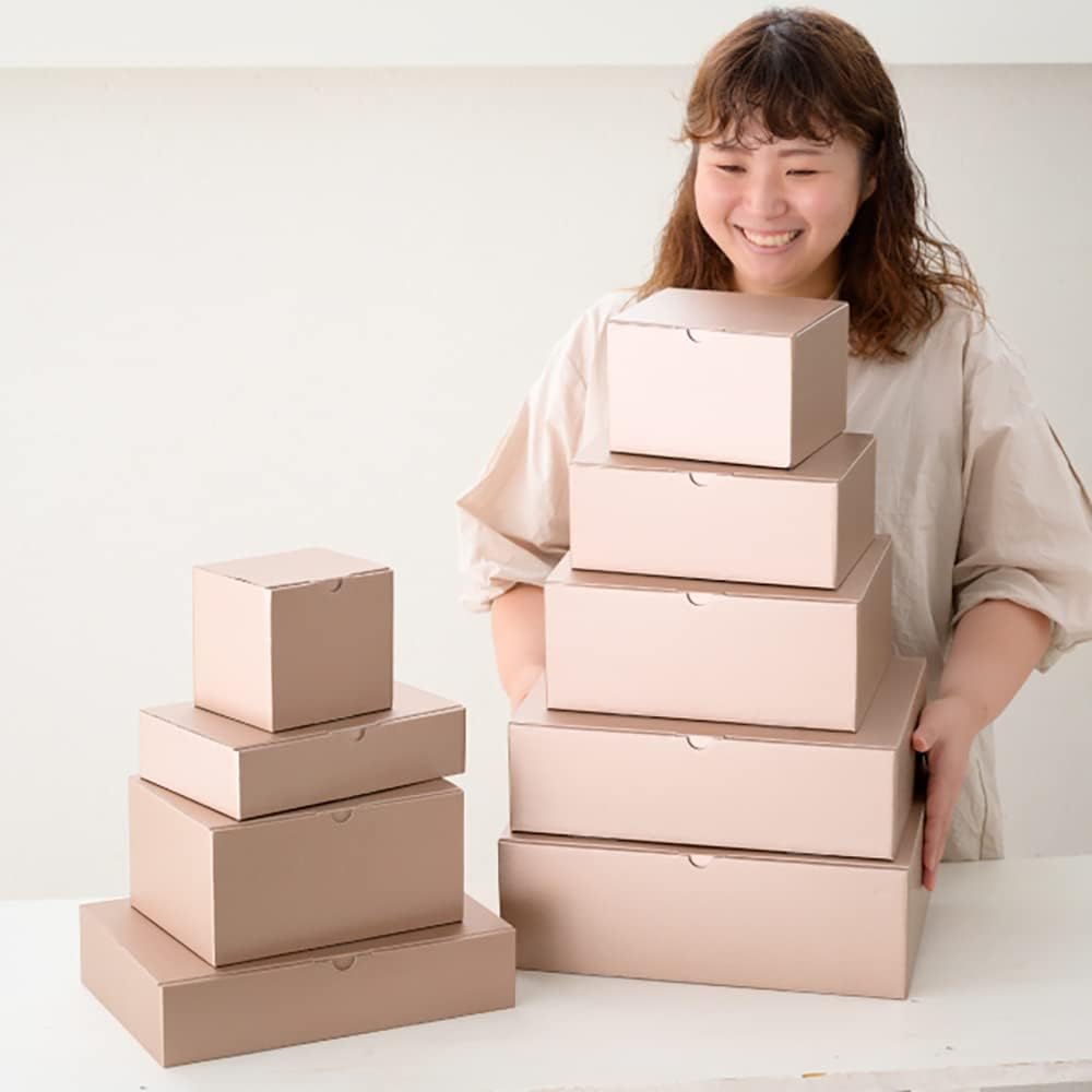 ヘッズ(Heads) Headz MCP-GB3 Solid Color Gift Box, 8.7 x 4.3 x 6.7 inches (22.3 x 11 x 17 cm), Champagne Pink Gift, 10 Pieces, Elegant, Natural, Simple