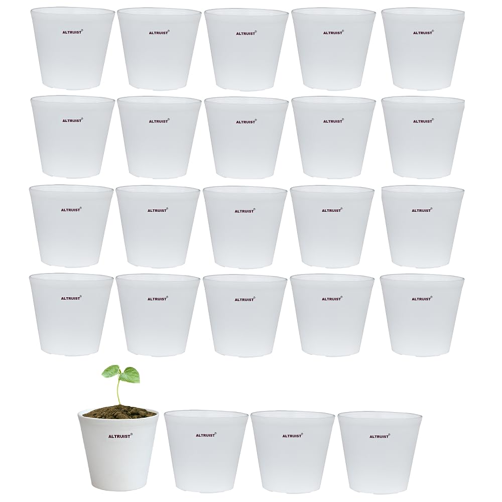 See full amazon price history chart for ALTRUIST Nursery Pot 4-inch Plastic White Color (Pack of 24) ALTRUIST Nursery Pot 4-inch Plastic White Color (Pack of 24) (B0BXLC68FY) Amazon Price History, Amazon Price Tracker