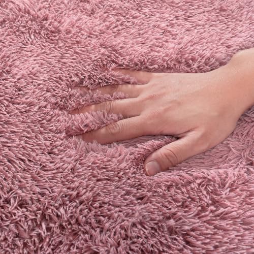 Rugs for Living Room 5x7, Soft Shaggy Modern Shag Area Rug for Bedroom, Upgrade Non-Slip Plush Fluffy Carpet for Kids Boys Girls Room Home Decor Aesthetic, Blush