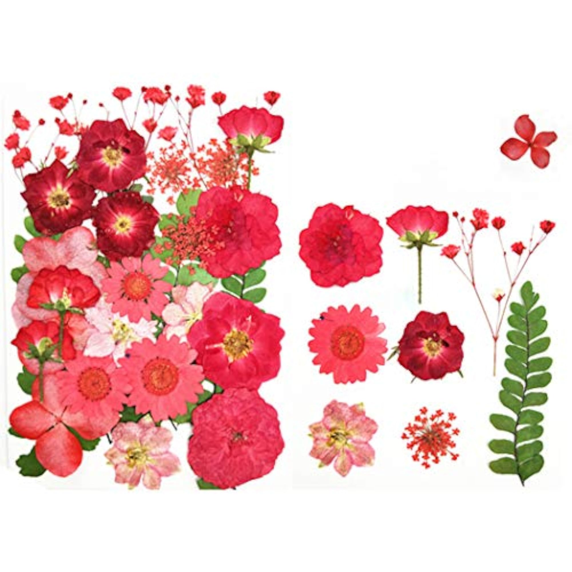 Pressed Flower Pack for DIY Phone Case Craft