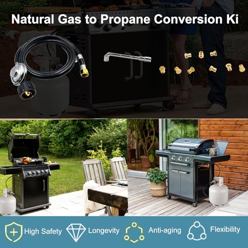 Upgraded 23080901 Natural Gas to Propane Conversion Kit for Weber ...