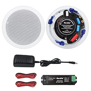Herdio 5.25 Inches 300 Watt Ronde Bluetooth Plafond Speakers 2 Manier Flush Mount Stereo Geluid Badkamer Speaker Voor Slaapkamer Thuis Woonkamer