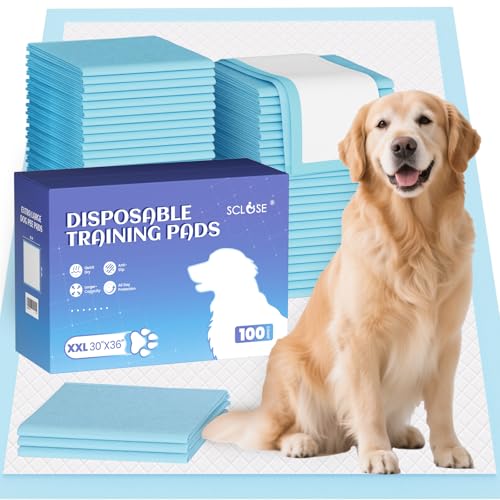 Image of SCLOSE Puppy Pads XXL 100 Count 30 inchx36 inch Dog Pee Pads Extra Large Potty Pads | Wee Wee Pads Great Value 7-Layers Super Absorbent Leak-Proof Disposable Training Pads for Puppies Doggie Pads Housebreaking
