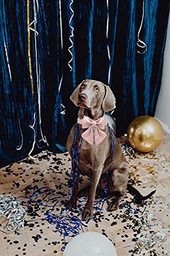 Unique Style Paws Seiden Rosa Hundehalsband Verstellbar Strapazierfähig Mit Schleife Hochzeit Fliege für Kleine Welpen und Katzen