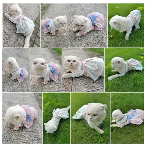 Disfraz Hanfu Tradicional para Perros XL miniatura 6