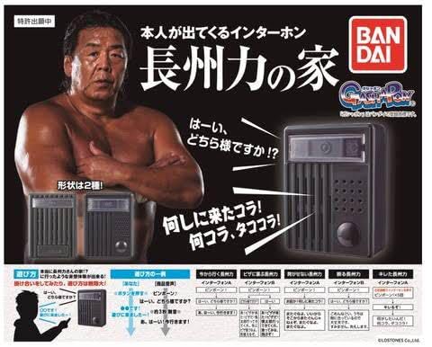 Amazon.co.jp: 押してみな飛ぶぞ 長州力の家 全5種類コンプリート
