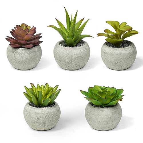 Ferrisland Small Artificial Succulent Fake: 5 Pcs Mini Faux Plants Potted Decor - Cute Plant Room Decorations Indoor for Home Table Shelf Cabinet or Office Desk Aesthetic
