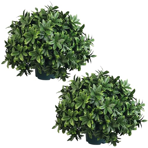 QIANYUN Artificial Boxwood Potted Plant – 18inch Faux Boxwood Topiary