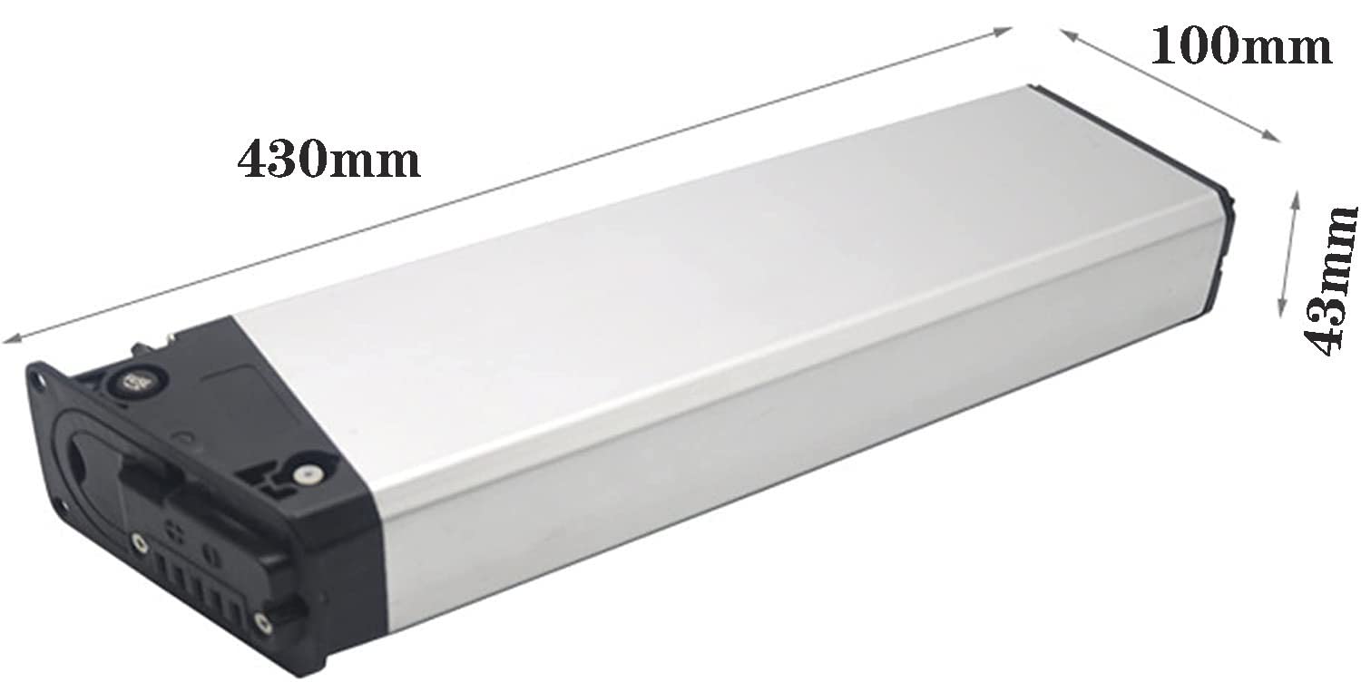 36V 48V 10Ah/12.5Ah/15Ah/20Ah Batteria per Bici Elettrica con Scheda di Protezione BMS capacità Ad Alta Potenza Batterie al Litio per Bici da 500 W / 1000 W/E-Scooter/Go-Kart 36V,10AH