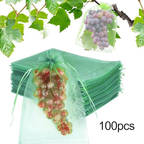 Review de Uvas blancas - los más vendidos. 2 Imagen adicional