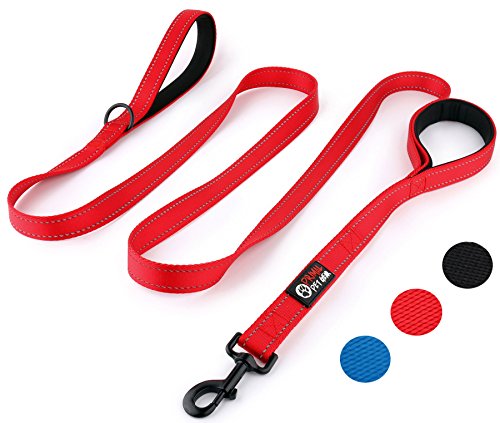 Primal Pet Gear Dog Leash 8ft Long - RED - Traffic Padded Two Handle - Heavy Duty - Double Handles Lead for Control Safety Training - Leashes for Large Dogs or Medium Dogs - Dual Handles Leads