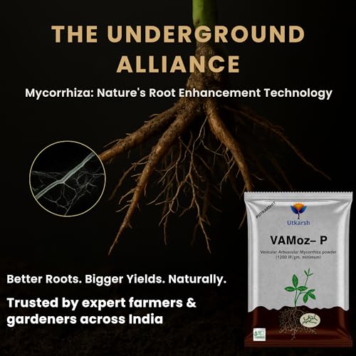 Image of Utkarsh Mycorrhiza with 1200 IP /gm Bio Fertilizers for Healthy Plants, Vigorous Stem Girth, Enhances Nutrient Absorption, Water Uptake & Soil Aeration | VAMoz-P (4.5 Kg; Pack of 5 of 900 gm)