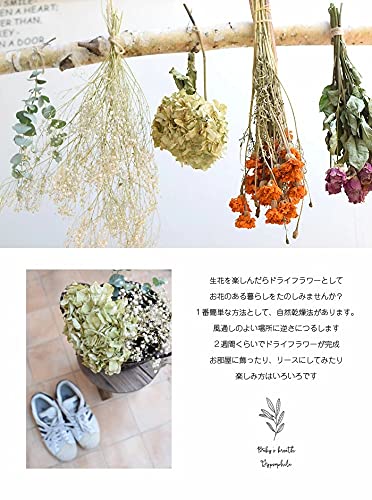 Amazon｜ラッピングリニューアル かすみ草 カスミソウ 花束