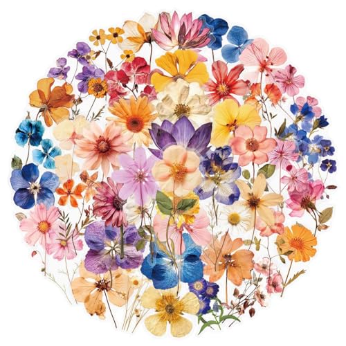 Image of 50PCS Transparent Flora Scrapbook Stickers, Vintage Aesthetic Flowers Sticker for Scrapbooks Travel Journal, Vinyl Waterproof for Water Bottles Laptop Phone Scrapbook Supplies DIY Crafts, (Flower-C)