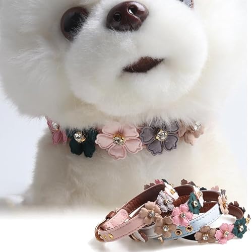  L  t[  U[ Jt ybg Lbg hbO ybgObY ^ ^ h0508 (XJCu[, M)