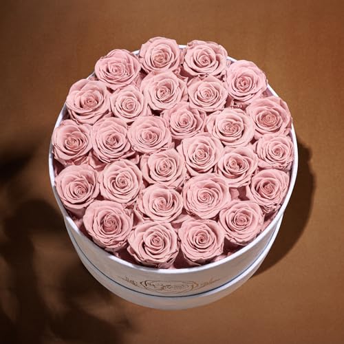 27 Flowers in a Luxury Suede Box, Birthday Gifts for Women, Preserved Flowers, Mothers Day Roses Gift for Mom, Dusty Rose