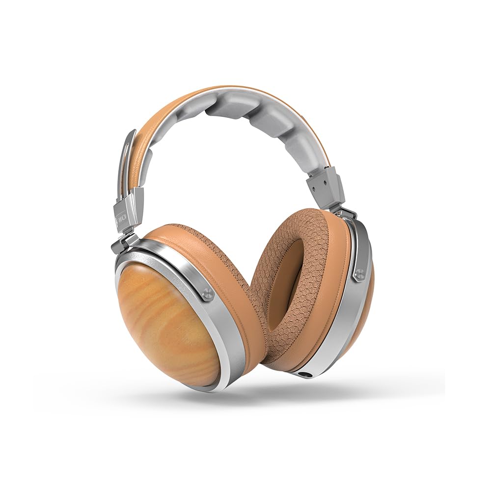 ほぼ新品FiiO FT1 密閉型 Beech FIO-FT1-C ・付属品未使用 Amazon.co.jp: FIIO FT1 Beech FIO-FT1-C【日本正規販売店より発送