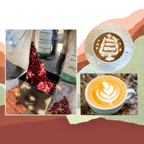 Cafe Monteverde - Café Tostado Oscuro en Grano 3-pack miniatura 7