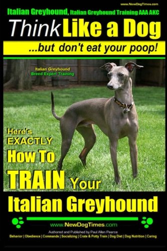 Italian Greyhound Italian Greyhound Training Aaa Akc Think Like