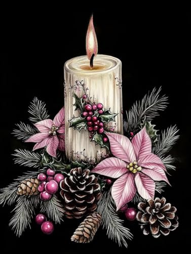 Pintar por Numeros Adultos, Pintar con Numeros Adultos planta Vela, DIY Painting by Numbers Kits, con 3 Pinceles, Pigmento Acrílico, Paint by Numbers, Regalos Originales para Hombre 30x40cm J0-679
