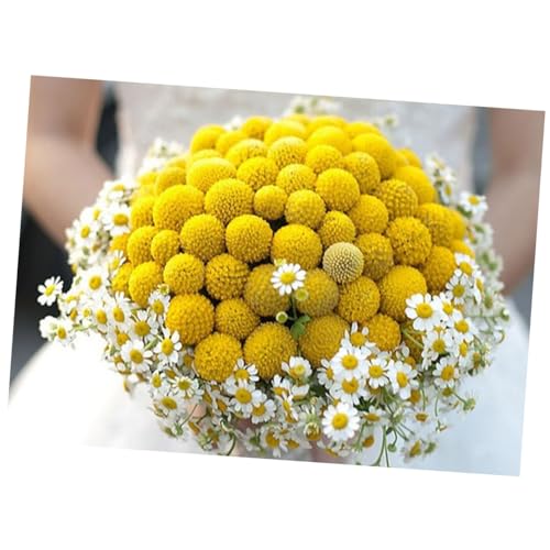 Bolsa 30 Bolas Florales Secas Amarillas Holibanna miniatura 4