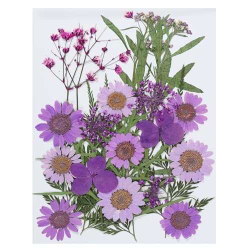 Flores Secas Prensadas NATURALES para Manualidades DIY miniatura 1
