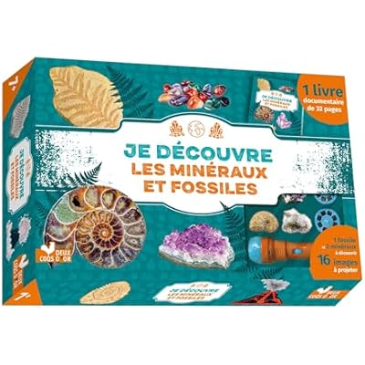 Je d&eacute;couvre les min&eacute;raux et fossiles - coffret avec lampe et kit excavation: Avec 1 livre documentaire, 1 fossile et 2 min&eacute;raux &agrave; d&eacute;couvrir, et 16 images &agrave; projeter