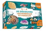 Je découvre les minéraux et fossiles - coffret avec lampe et kit excavation