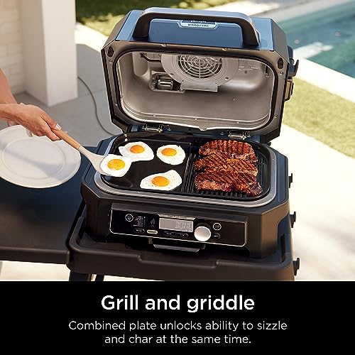 Image of Ninja XL Woodfire Grill & Griddle Plate, for OG800 /OG900, Ceramic, Black