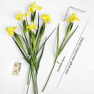 6 Long-Stem Real Touch Artificial Lemon Yellow Irises – Realistic Faux Flowers for Home Decor, Wedding Bouquets, Centerpieces & Floral Arrangements 6 Long Stem Real Touch Artificial Lemon Yellow Irises–Realistic Faux Flowers for Home Decor Wedding Bouquets Centerpieces Floral Arrangements