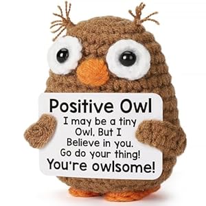 Handmade Positive Crochet Owl, Emot...