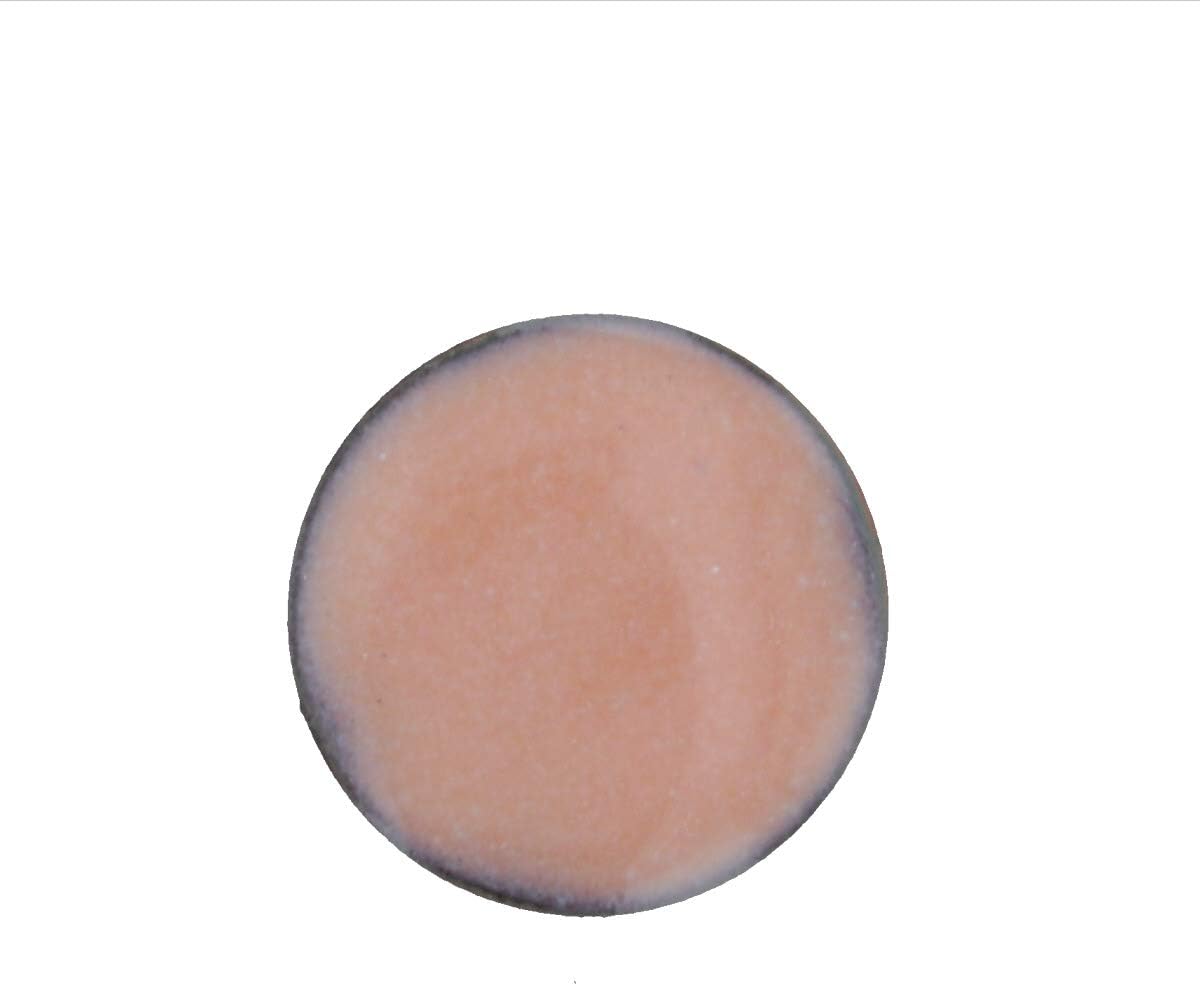 WireJewelry 1020 Titanium White Thompson Opaque Enamel - 8 Ounce