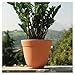 Produktbild Harz-Vase-cm. 36 d 33 xH