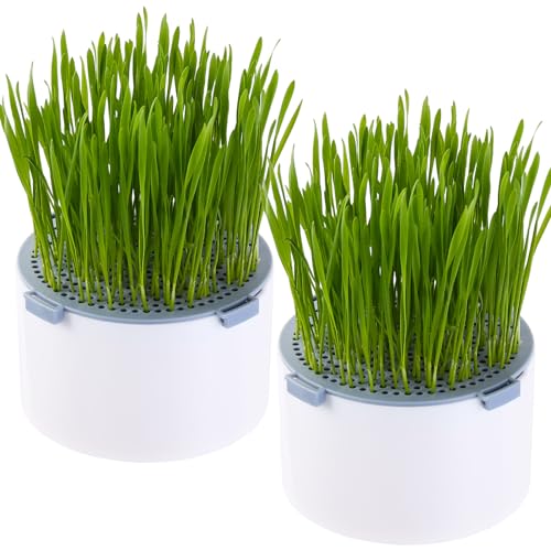 BENPIN 2Pcs Hydroponic Cat Grass Planter (no Seeds Included) for Indoor Cat
