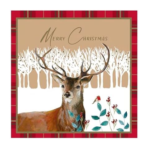 Eurowrap Pack of 12 Eco-Friendly Christmas Cards Cover