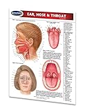 Ear, Nose & Throat Guide - Medical Quick Reference Guide by Permacharts Ear, Nose & Throat Guide - Medical Quick Reference Guide by Permacharts