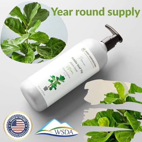 Fertilizante Líquido Premium para Plantas Fiddle Leaf Fig 8oz miniatura 4