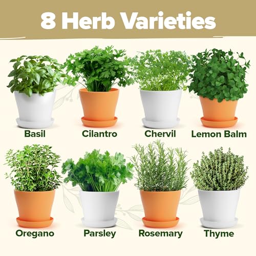 HOME-GROWN-Deluxe-8-Herb-Garden-Kit--Best-Gifts-for-Women-Unique-Christmas-Gardening-Present-for-Mom-Her-Friend--Birthday-Gift-Gardeners-New-Home-Housewarming-Kitchen-Live-Plant-Starter