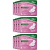 Amazon Basic Care – Maandverband ultra normaal met vleugels, 12 verpakkingen met 14 stuks (in totaal 168 stuks)