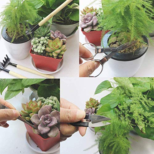 Juego de 10 piezas de herramientas de jardinería SaferCCTV miniatura 5