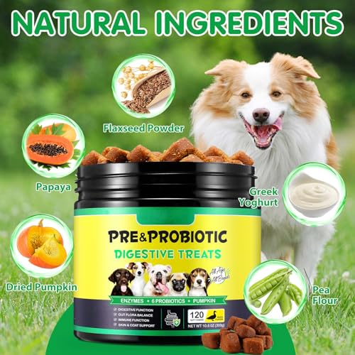Probiotika für Hunde 120 Kautabletten – Verdauungsenzyme & Präbiotika, tägliche Unterstützung der Verdauung & des Wohlbefindens, ballaststoffreiche Weichkautabletten für alle Rassen und Altersgruppen