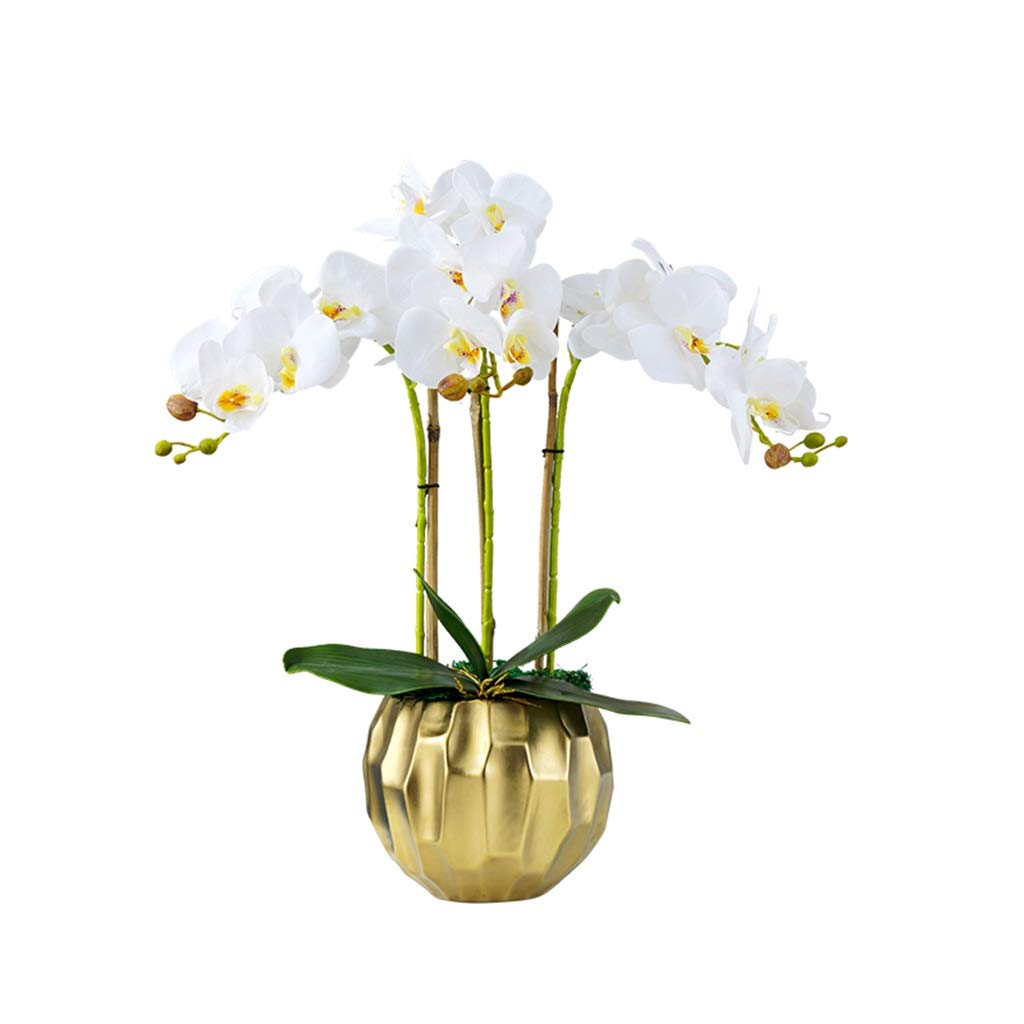 AYCDL Artificial Flowers Orchids Potted - Faux Orchids Decoration Phalaenopsis Flowers with Geometrical Vase Decorate for Home/Kitchen/Bedroom/Dining Table Centerpiece