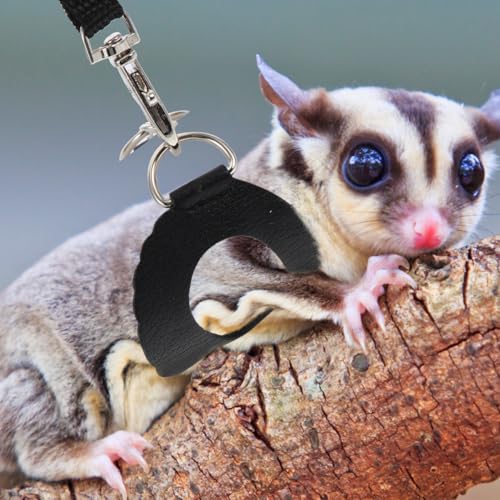 Image of Hamster Harness and Leash Set Portable Rat Harness Breathable Small Animal Leash Outdoor Pet Traction Accessory Comfortable .11X1.96In